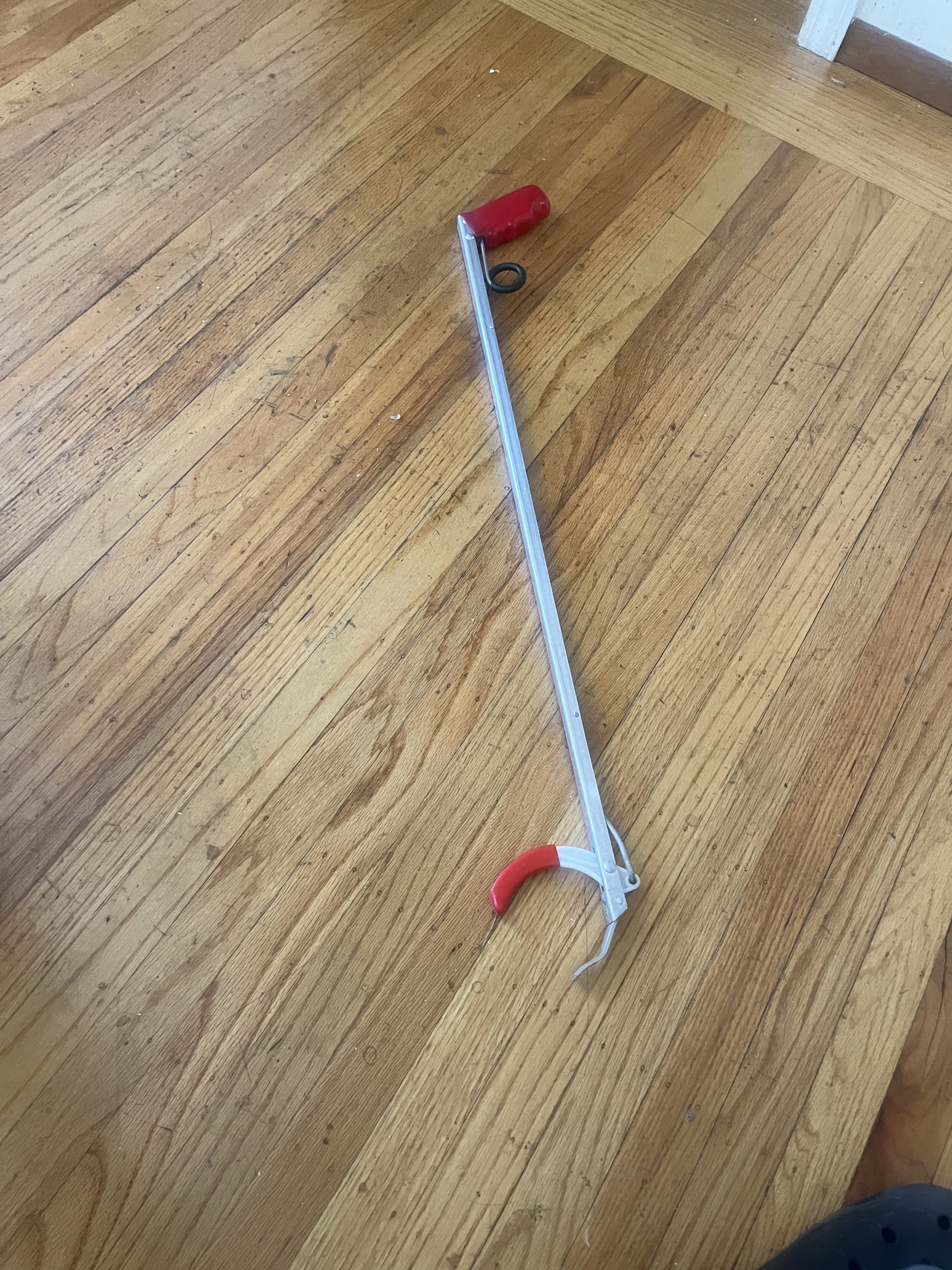 Park Patrol Litter Stick